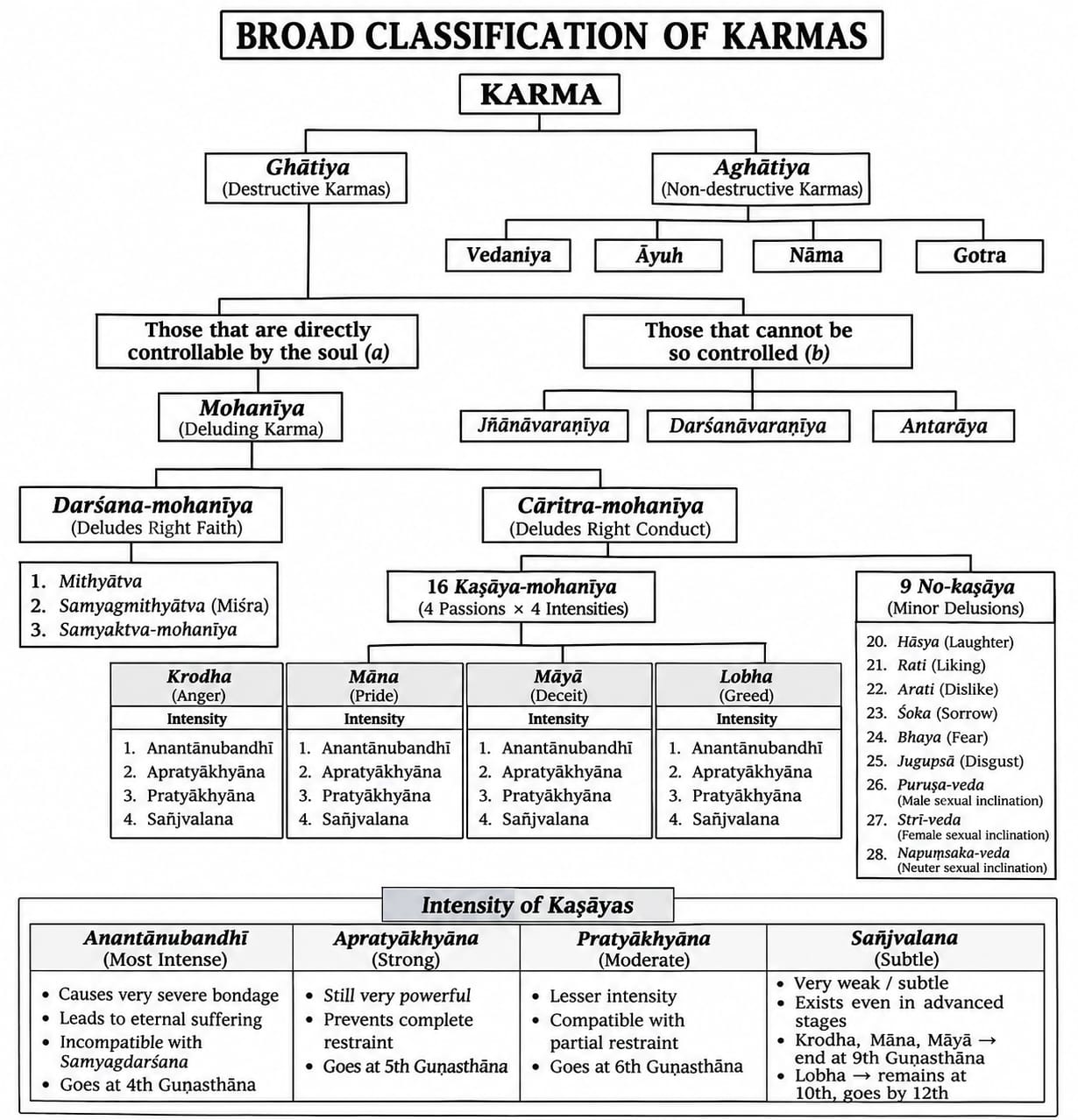 Broad classification of karmas